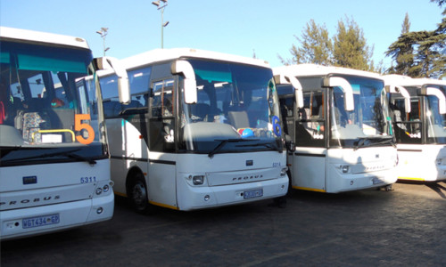 Shuttle Coaches parked ready for service