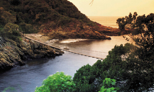 Bridge on the Garden Route Tour