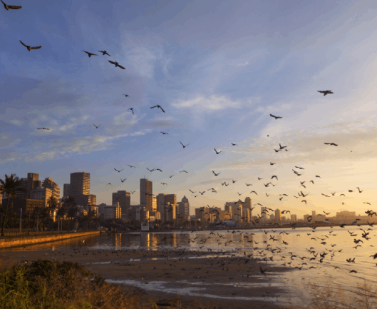 Durban Beach, Kwazulu-Natal